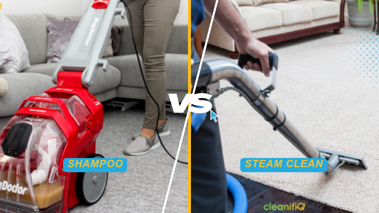 Comparison diagram showing differences between carpet shampoo and carpet steam cleaning methods
