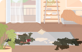 Extreme carpet damage and staining